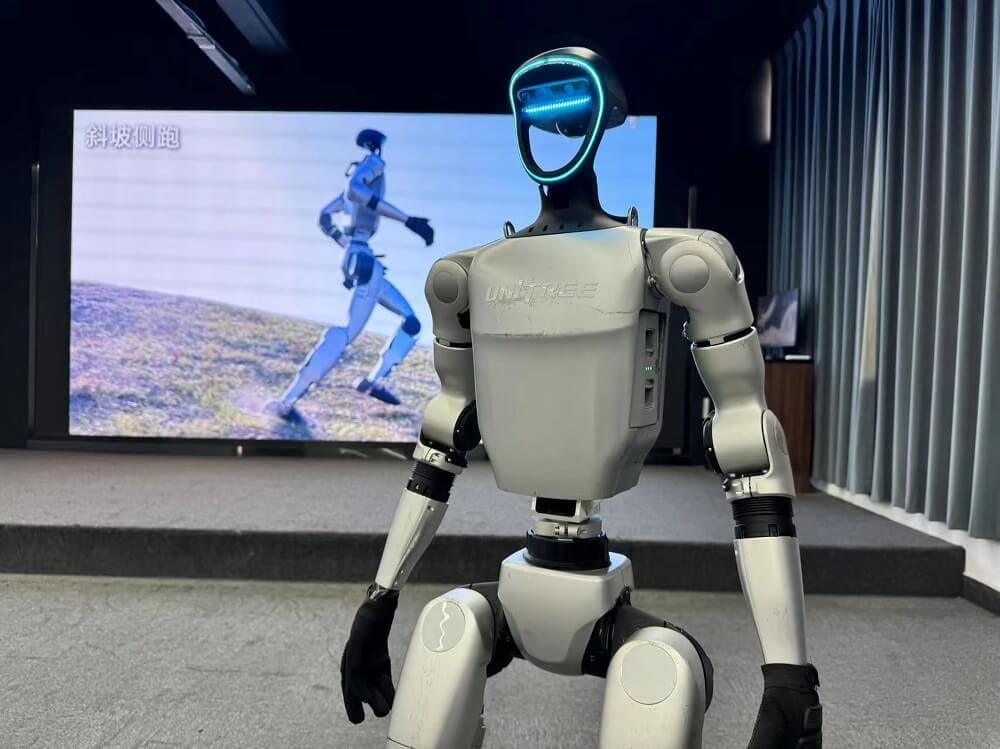 Humanoid Robot